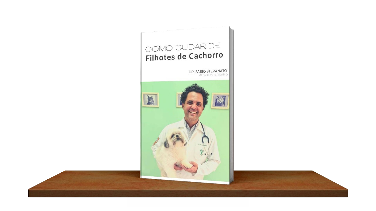 Como Cuidar de Filhotes de Cachorro